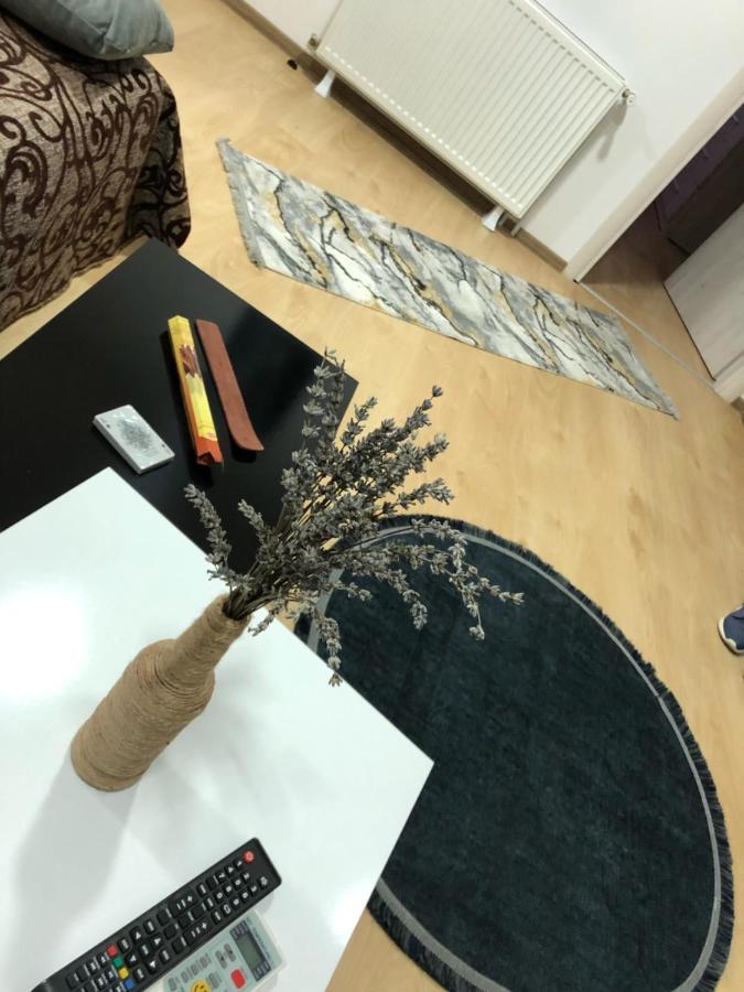 Serban Home Arenele Romane Marius Nasta بوخارست المظهر الخارجي الصورة